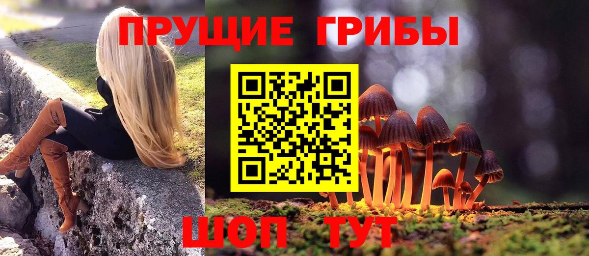 Псилоцибиновые грибы Cubensis  Вход с VPN  Галлюциногенные грибы ЛСД  Чехов 